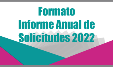 Formato-informe-anual-2022